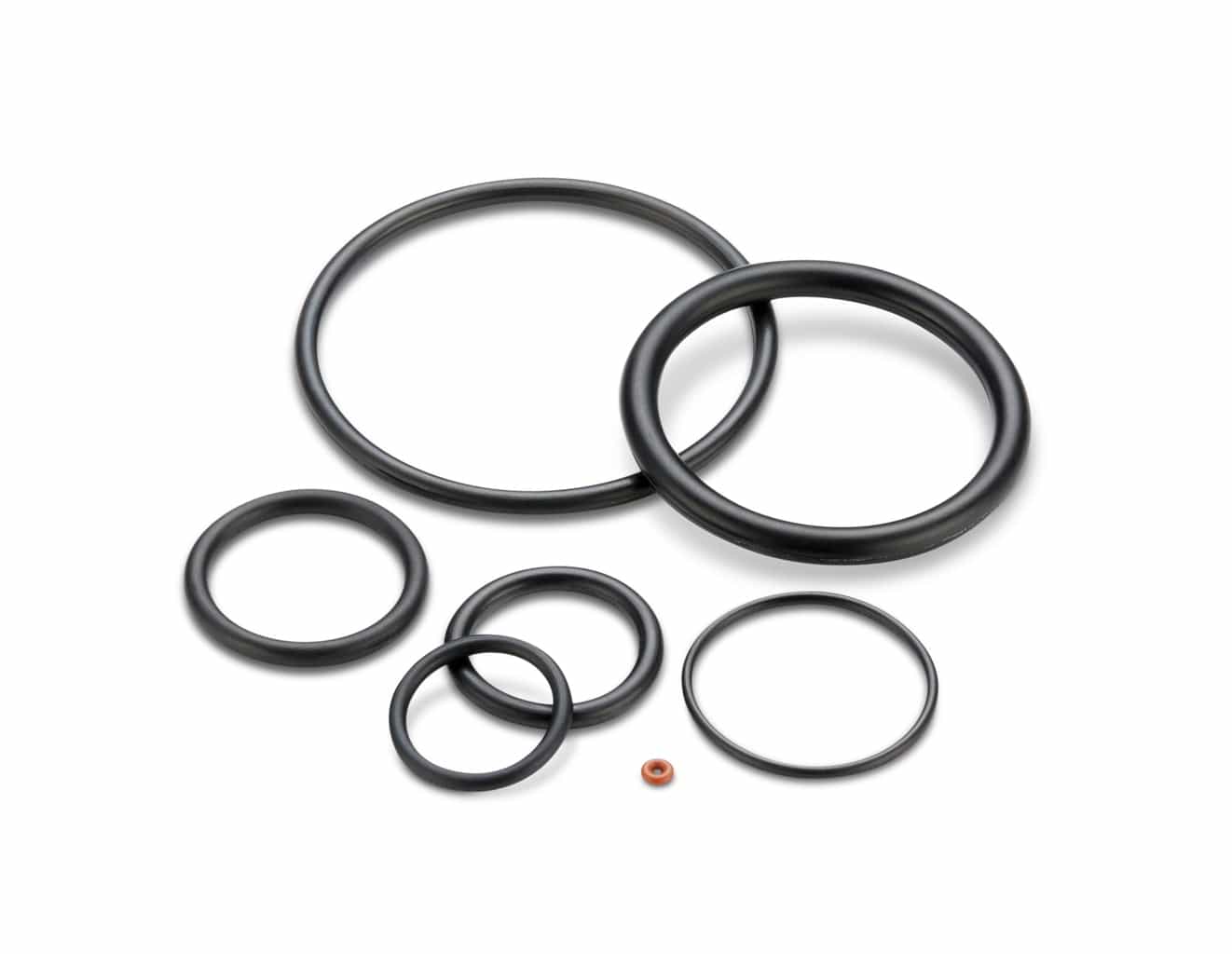 Gaskets & Seals